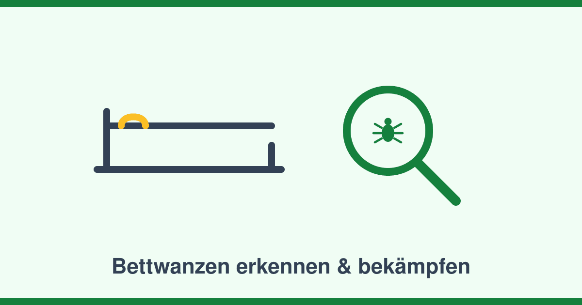 Bettwanzen erkennen und bekämpfen: Warum Hausmittel scheitern und was wirklich wirkt