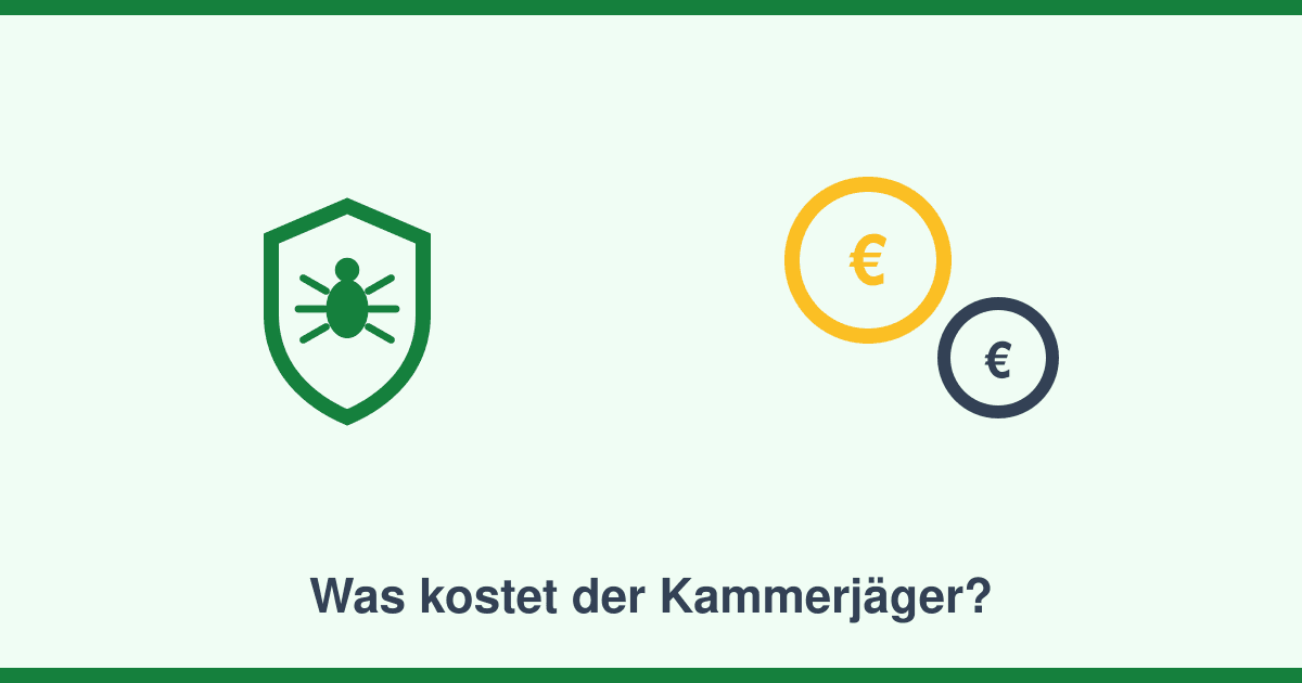 Was kostet ein Kammerjäger? Preise, Einflussfaktoren und der Steuer-Tipp