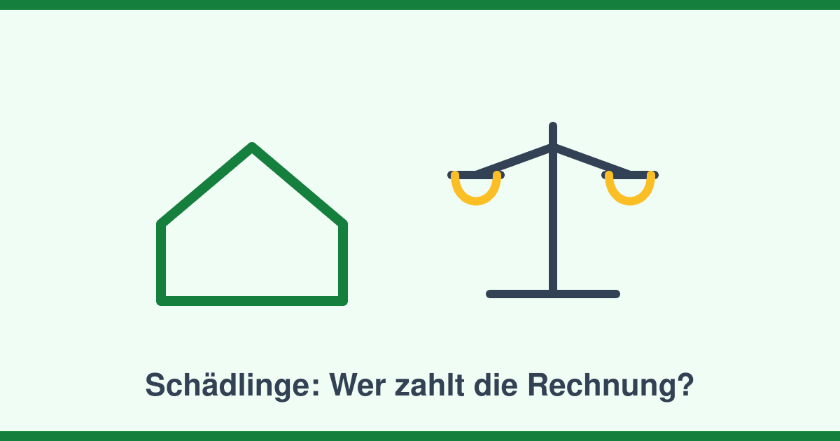 Schädlinge in der Mietwohnung: Wer zahlt — Mieter oder Vermieter?