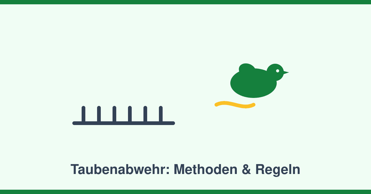 Taubenabwehr am Haus: Methoden, Kosten und die Tierschutz-Regeln