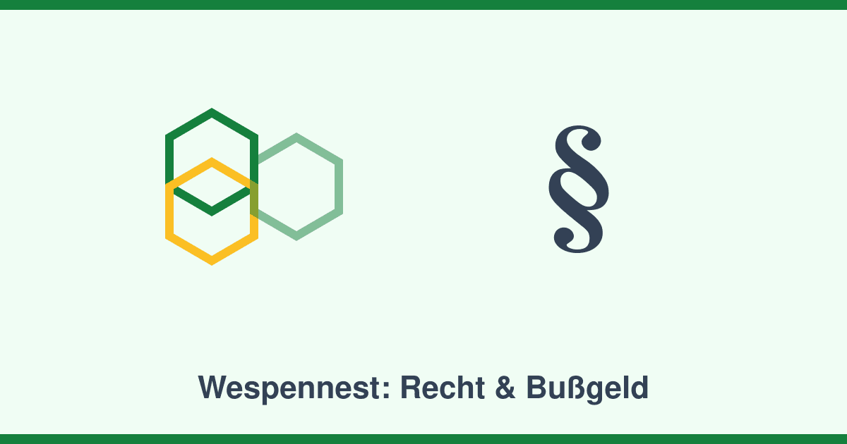 Wespennest entfernen: Was erlaubt ist — und wann bis zu 50.000 Euro Bußgeld drohen
