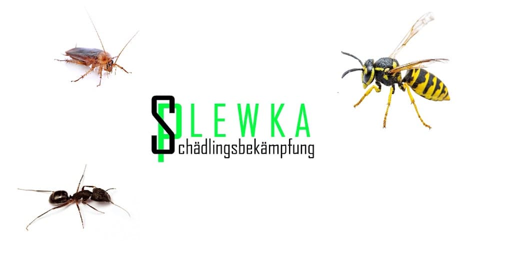 Plewka Schädlingsbekämpfung