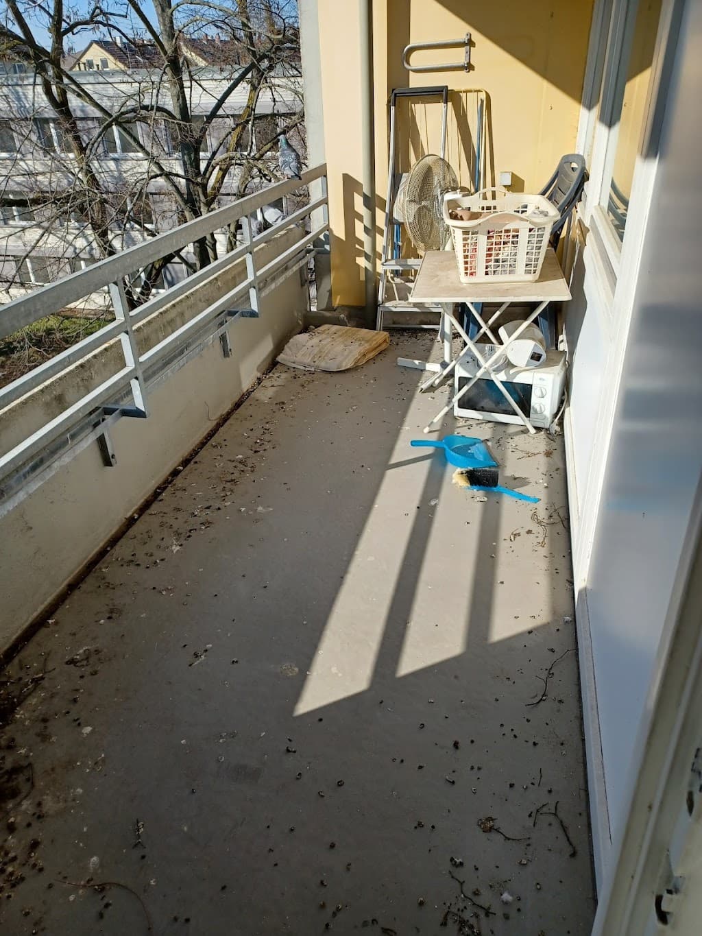 PROKIL Schädlingsbekämpfung