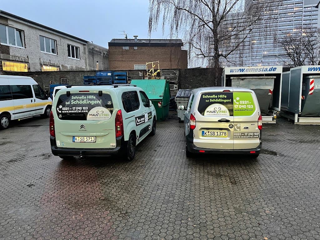MAUSFREI Schädlingsbekämpfung Köln