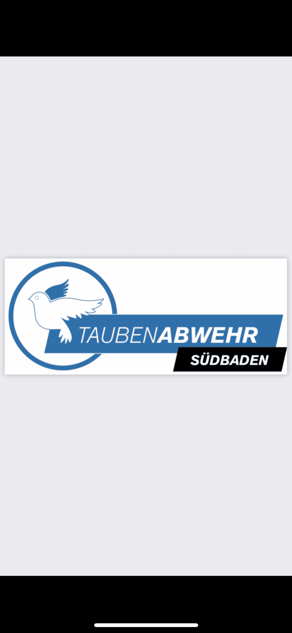 Taubenabwehr Südbaden