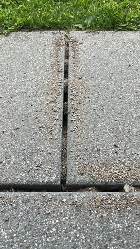 Kontra Schädlingsbekämpfung GmbH — Kundenfoto