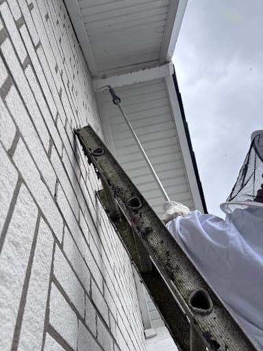 Rentokil Schädlingsbekämpfung Dortmund — Kundenfoto