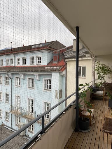 Tauben Profis GmbH — Kundenfoto