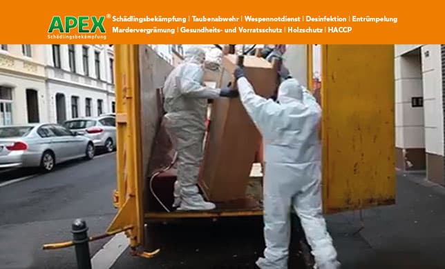 APEX Schädlingsbekämpfung Leipzig