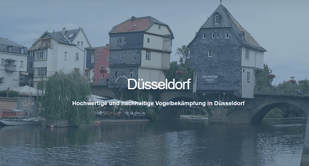 Taubenabwehrprofis Düsseldorf