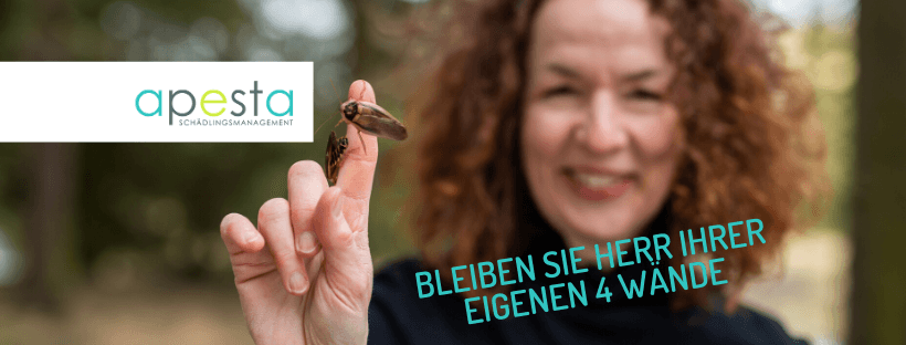 apesta - Schädlingsbekämpfung in Wolfsburg