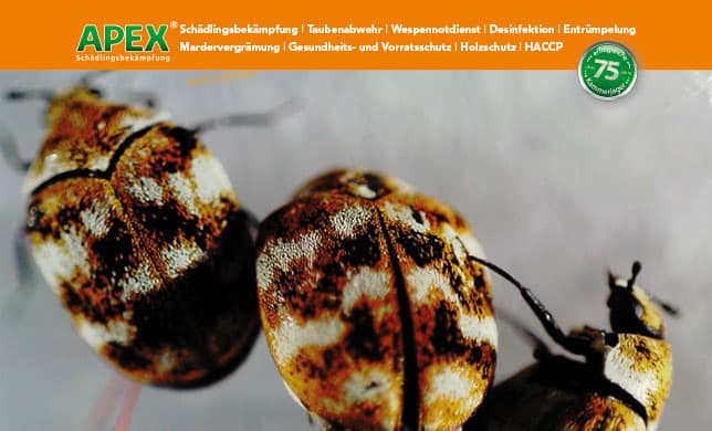 APEX Schädlingsbekämpfung Essen