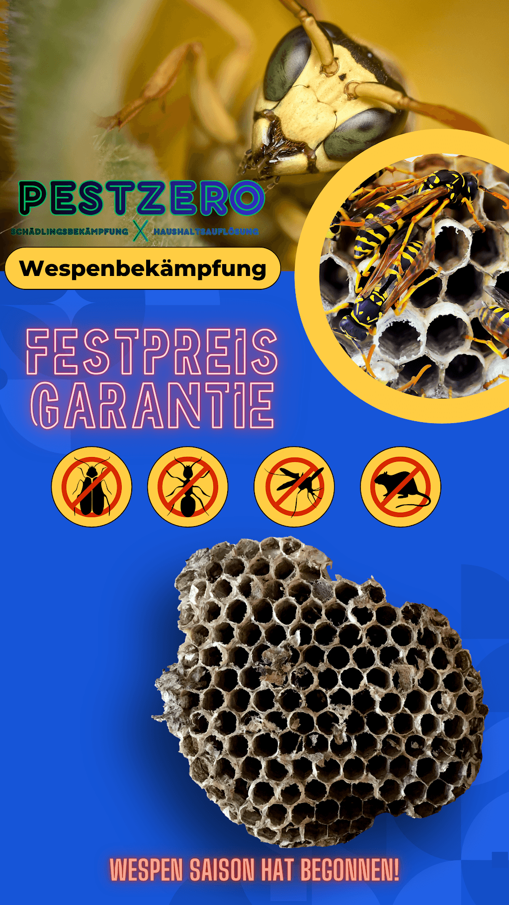 PestZero Schädlingsbekämpfung Düsseldorf