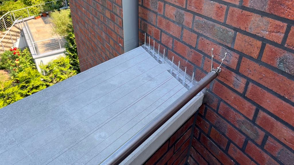 Schädlingsbekämpfung Wespina Münster | Kammerjäger