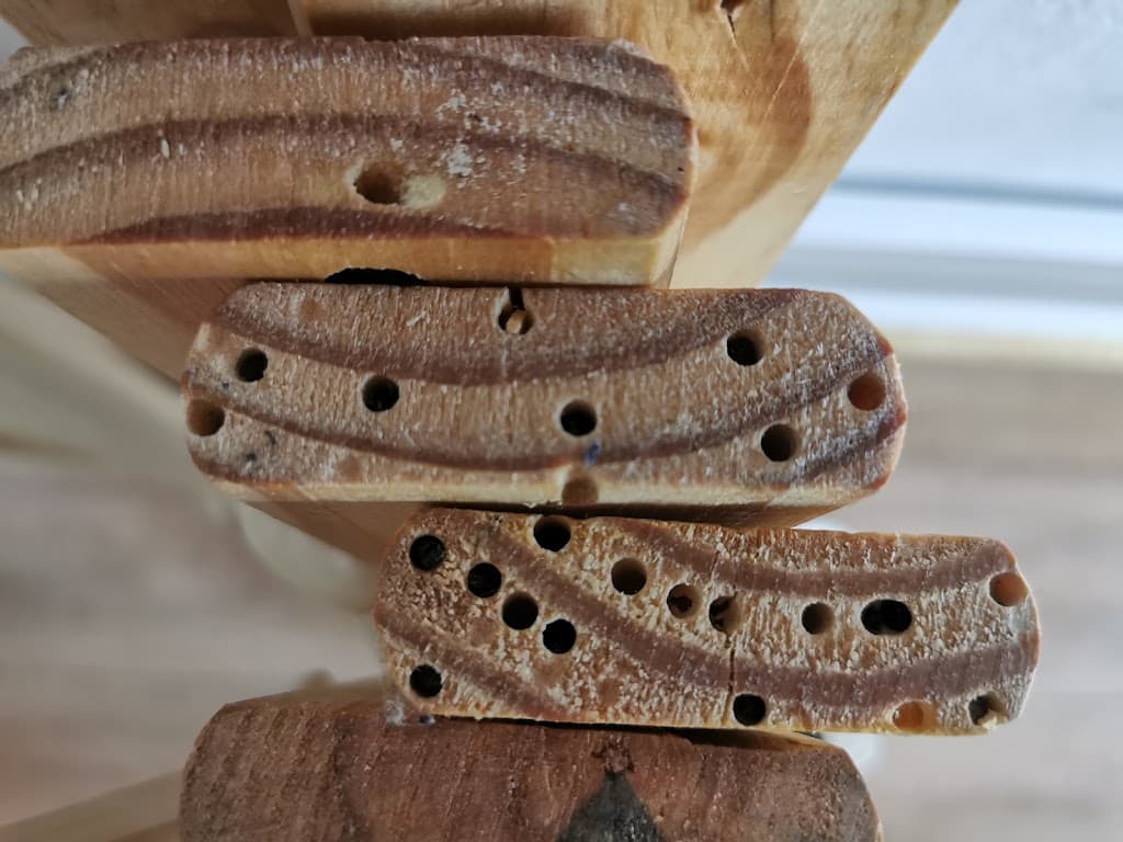 Schädlingsbekämpfung Auf Der Lauer