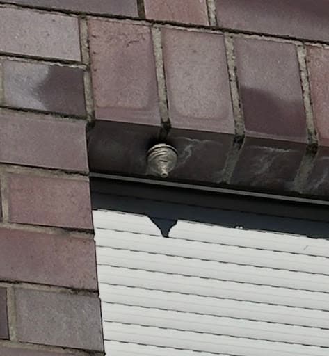 Schädlingsbekämpfung Direkt GmbH — Kundenfoto