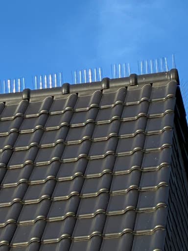 einheit3 GmbH Taubenabwehr — Kundenfoto