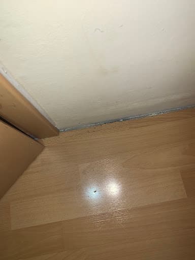 Rentokil Schädlingsbekämpfung Karlsruhe — Kundenfoto